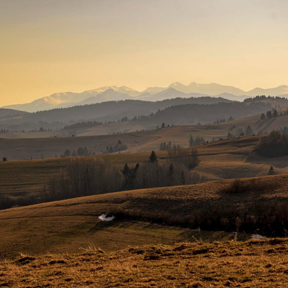 Meet your Posher, Jared